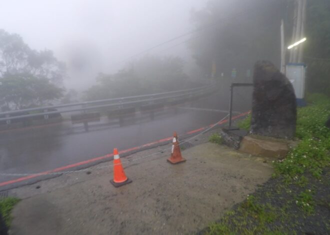 那些吉露教我的事 (4) 人沒有勝天